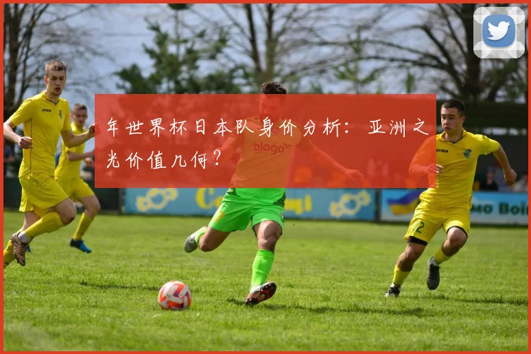 年世界杯日本队身价分析：亚洲之光价值几何？