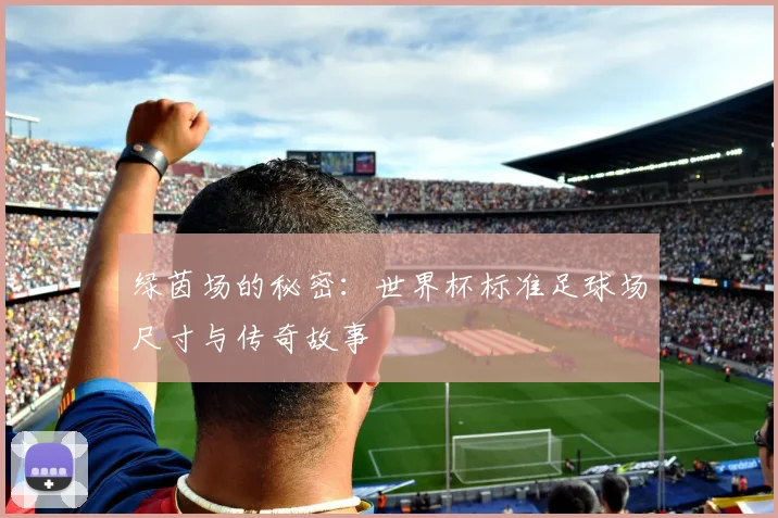 绿茵场的秘密：世界杯标准足球场尺寸与传奇故事