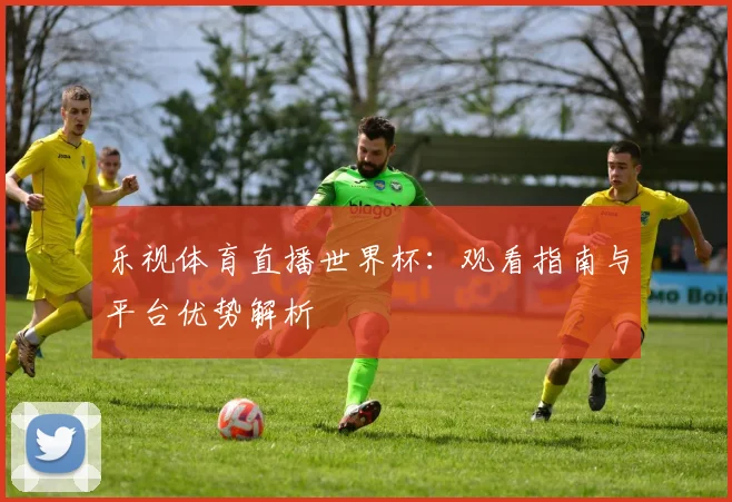 乐视体育直播世界杯：观看指南与平台优势解析