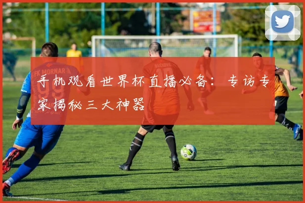 手机观看世界杯直播必备：专访专家揭秘三大神器