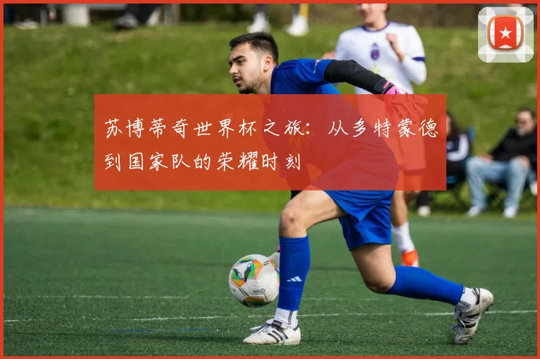 苏博蒂奇世界杯之旅：从多特蒙德到国家队的荣耀时刻