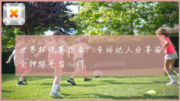 世界杯观赛指南：专访达人分享安全押球平台心得