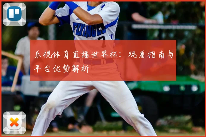 乐视体育直播世界杯：观看指南与平台优势解析
