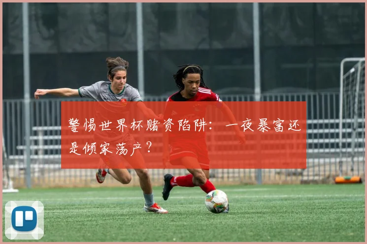 警惕世界杯赌资陷阱：一夜暴富还是倾家荡产？