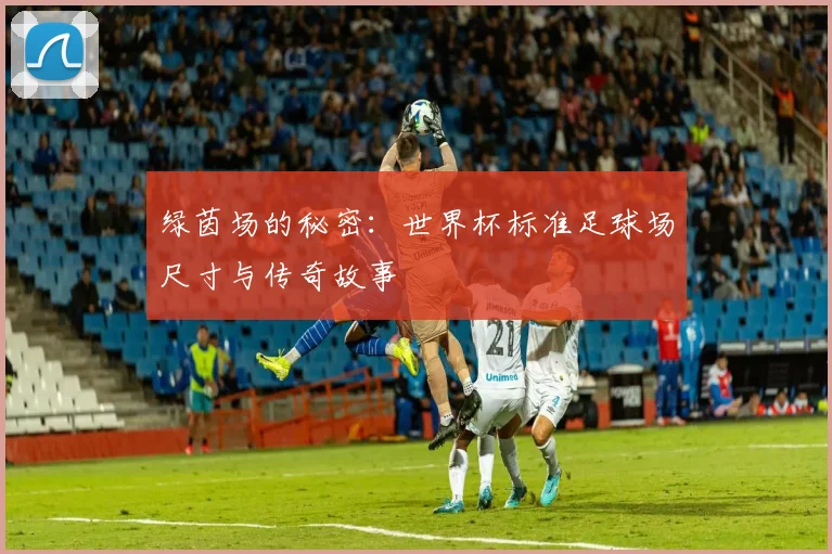 绿茵场的秘密：世界杯标准足球场尺寸与传奇故事