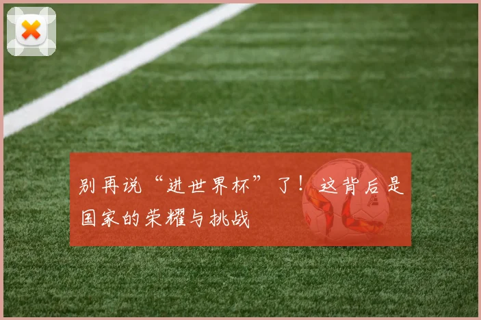 别再说“进世界杯”了！这背后是国家的荣耀与挑战